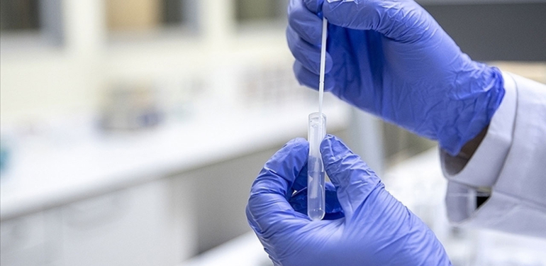 Yarasalarda yeni tip koronavirüs keşfedildi